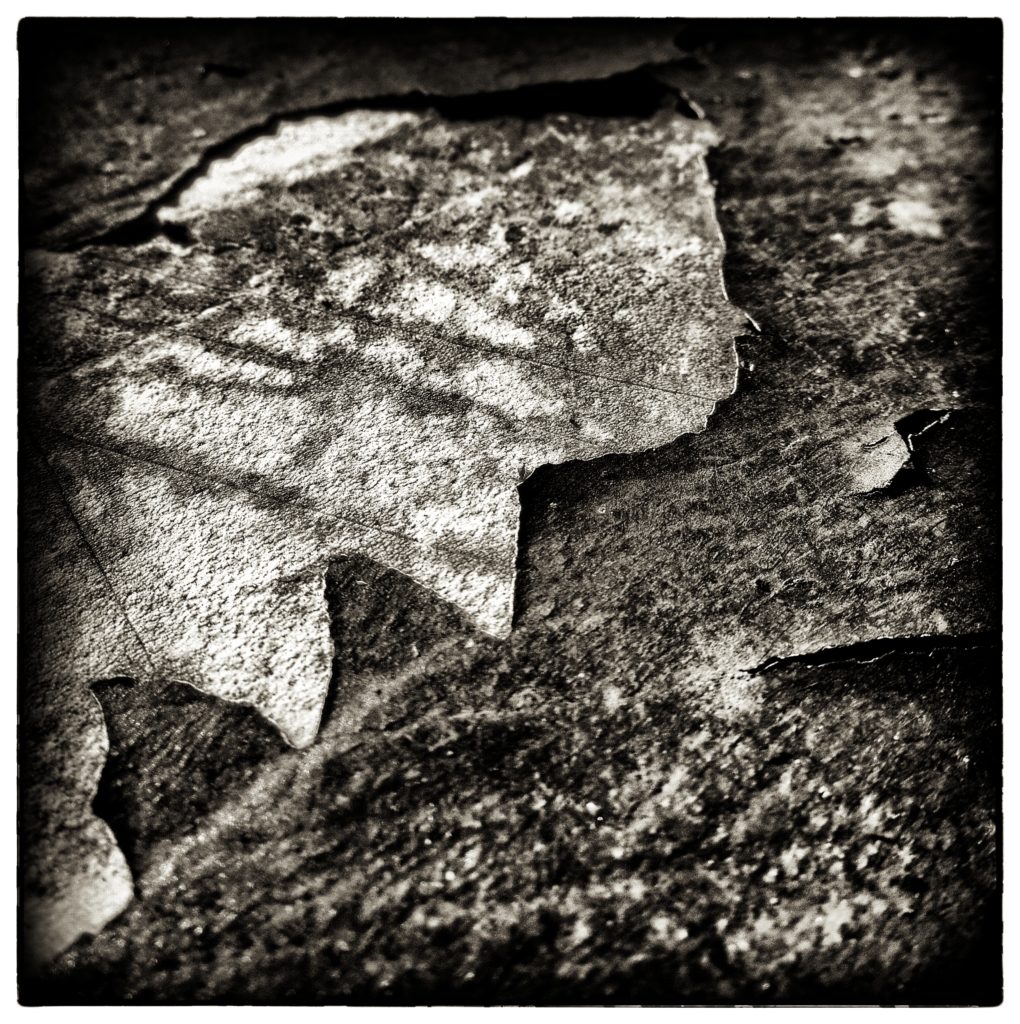 © Chambre Six