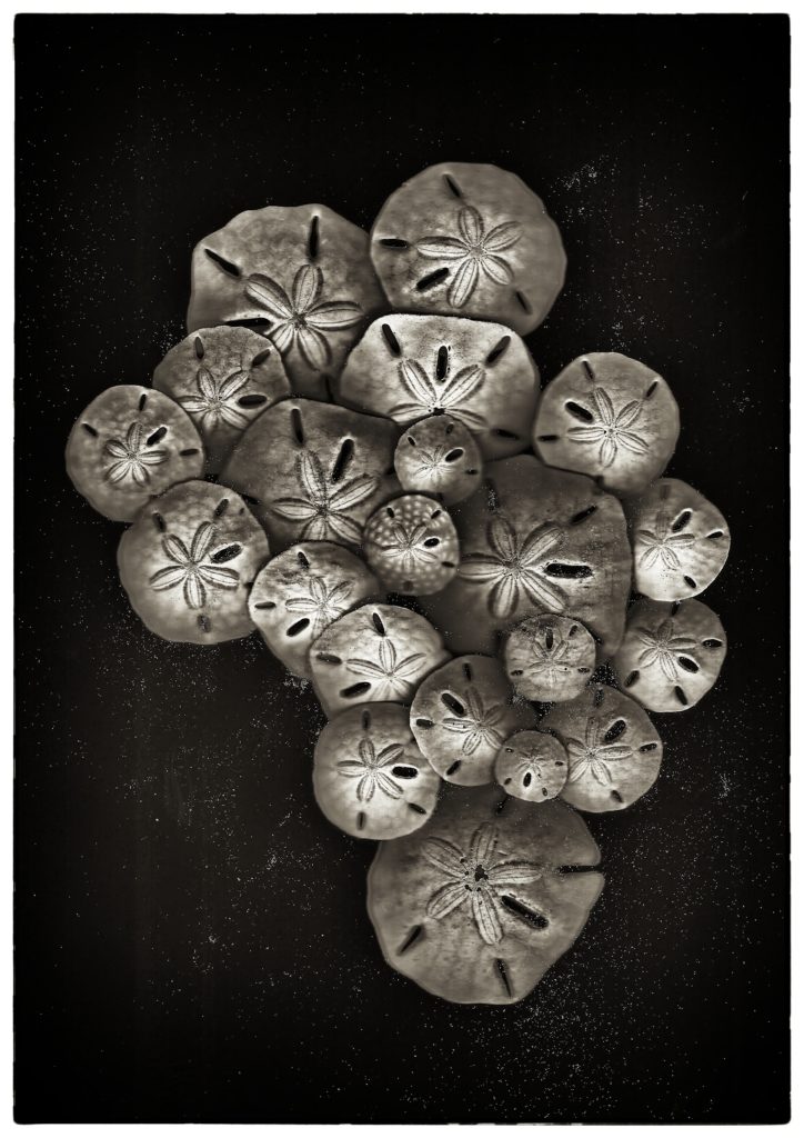 © Chambre Six