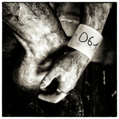 © Chambre Six